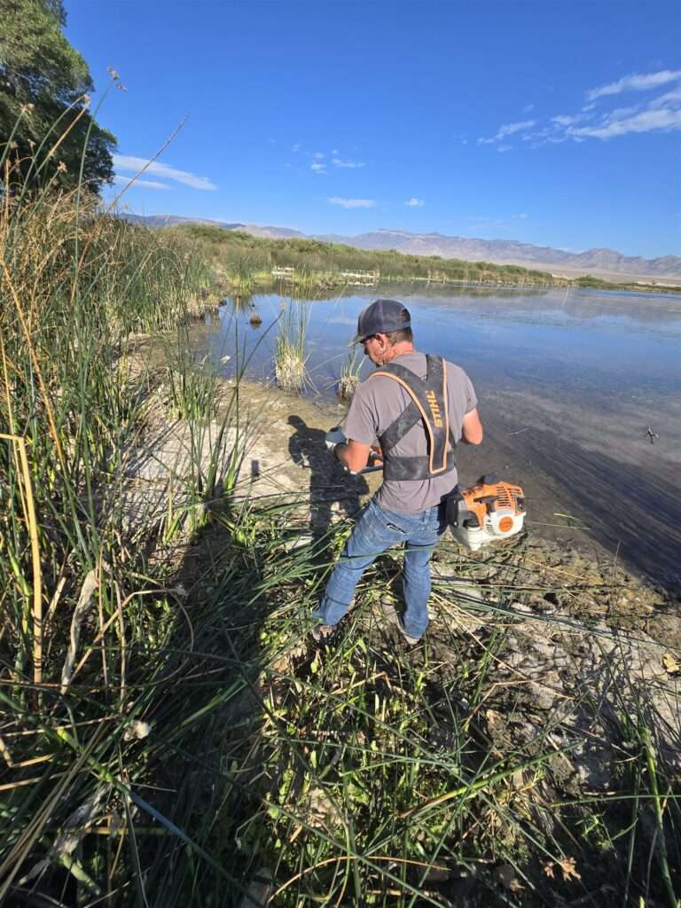 Key Pittman WMA work day, WHIN 2026